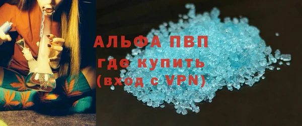 сатива Каменногорск