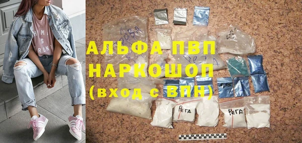 сатива Каменногорск