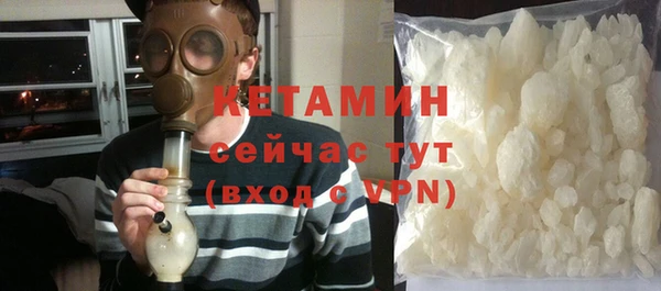 сатива Каменногорск