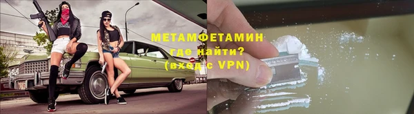 сатива Каменногорск