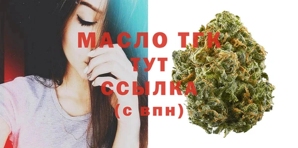 сатива Каменногорск