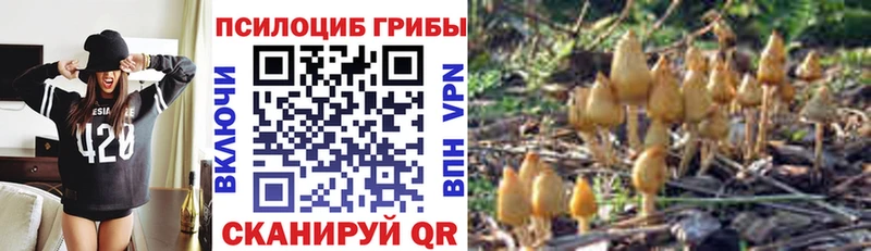 Псилоцибиновые грибы мицелий  Купить  Жигулёвск 